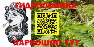 не бодяженный Нальчик