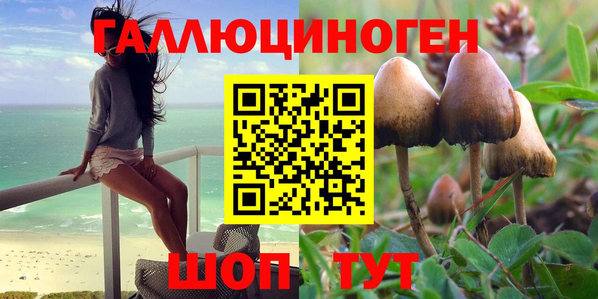 Псилоцибиновые грибы Psilocybe  Вход с VPN  Чернушка  Псилоцибиновые грибы мухоморы 
